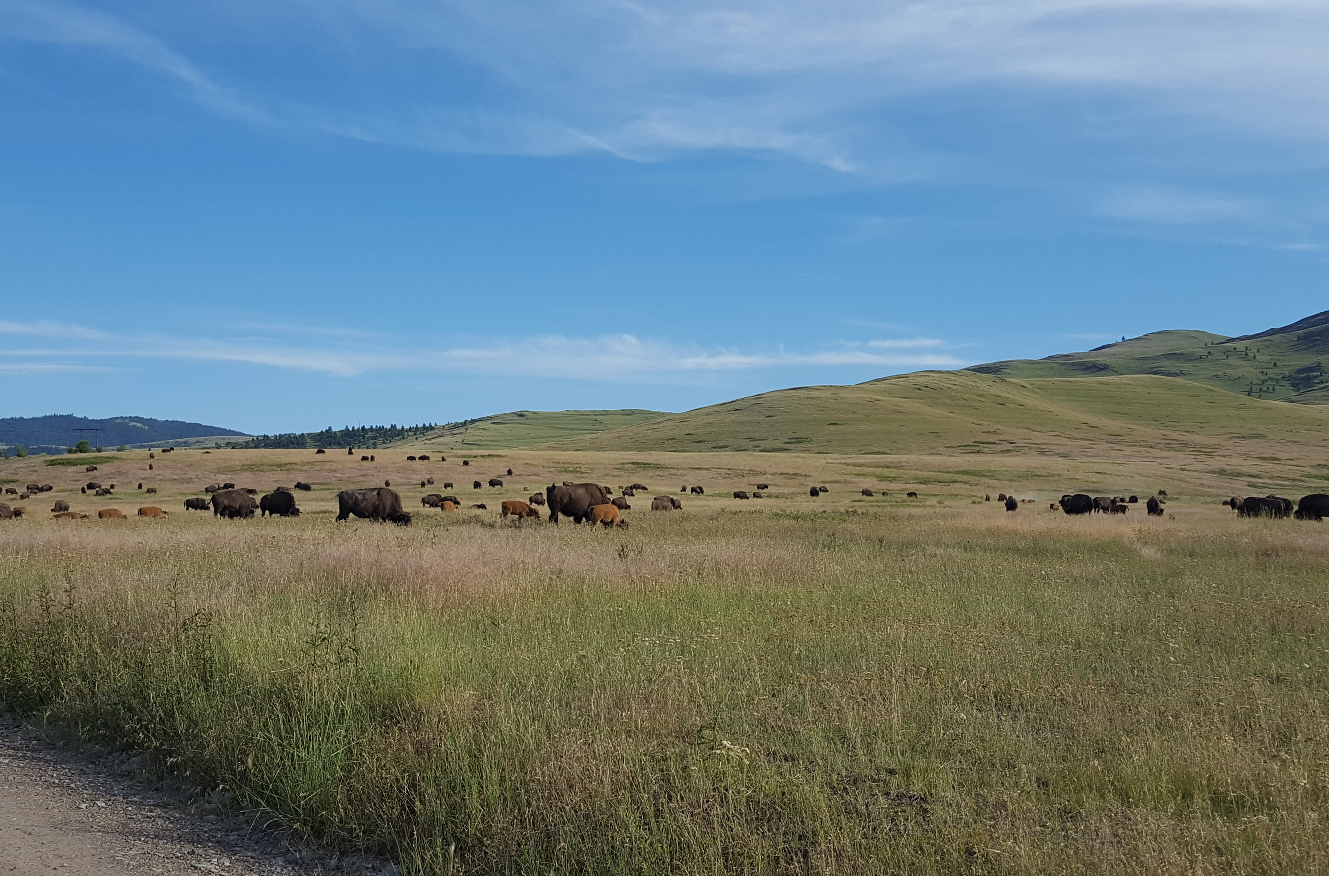 11 mejores cosas que hacer en el oeste de Montana - 27