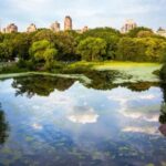 19 mejores parques en la ciudad de Nueva York y Nueva York para visitar