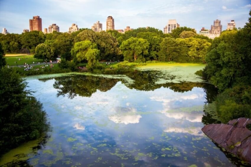 19 mejores parques en la ciudad de Nueva York y Nueva York para visitar - 501