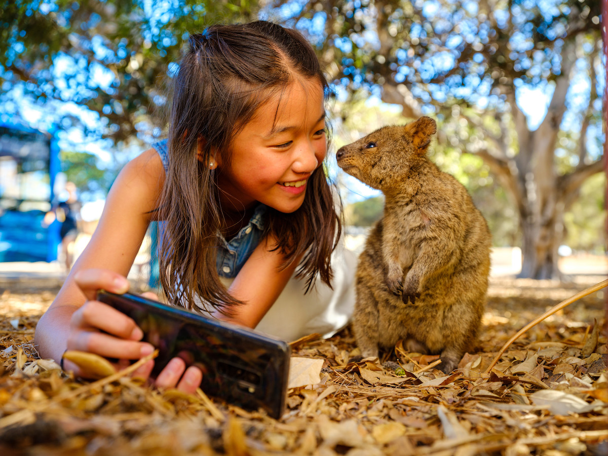 Las mejores experiencias con los animales más lindos de Australia - 3