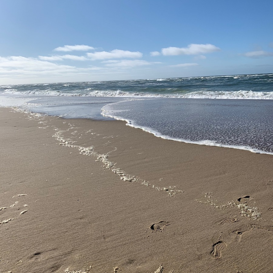 Las 11 mejores playas en Cape Cod - 15