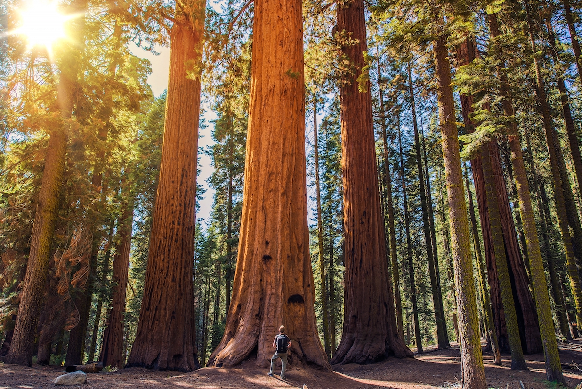 Los 3 parques nacionales menos visitados de California son absolutamente impresionantes - 13