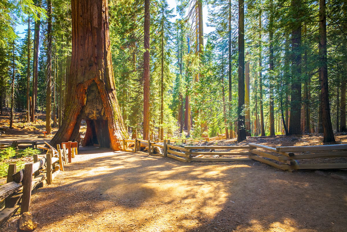 Los 3 parques nacionales menos visitados de California son absolutamente impresionantes - 15
