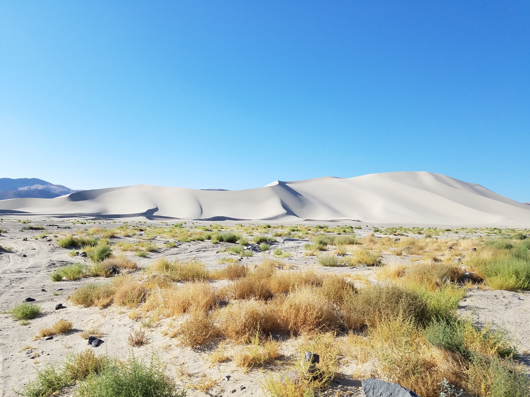 7 dunas de arena imprescindibles en el suroeste - 17