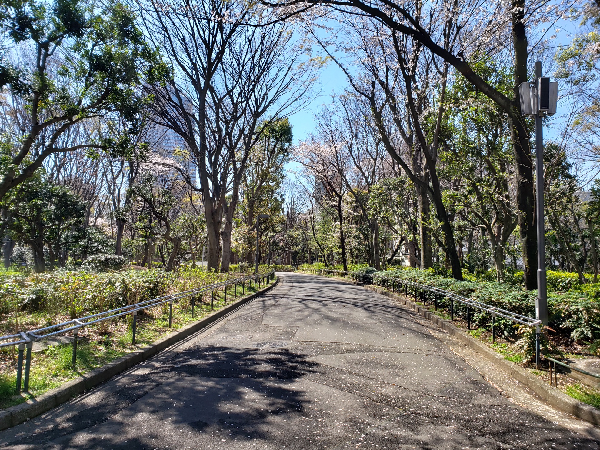 10 grandes cosas gratis para hacer al aire libre en (y alrededor) Tokio - 17