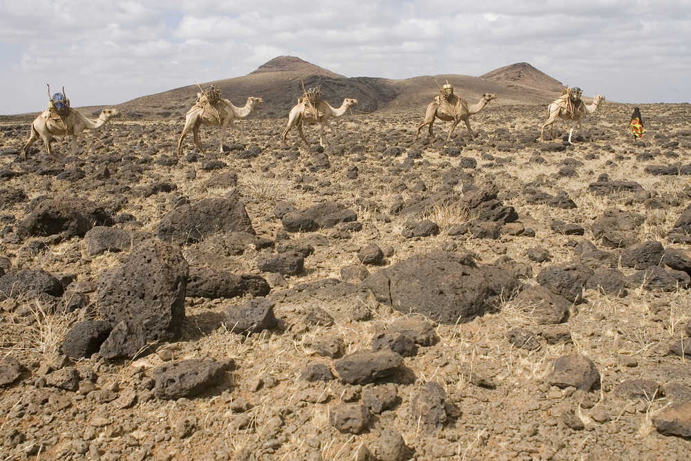 Experimentar los 10 desiertos únicos de África - 9