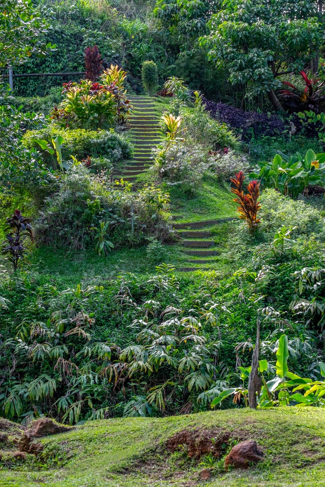 9 mejores lugares para visitar en magnífico kauai - 13