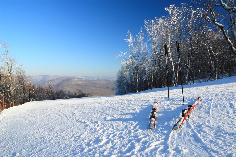 Las mejores estiras de esquí no congolentes en los EE. UU. - 11
