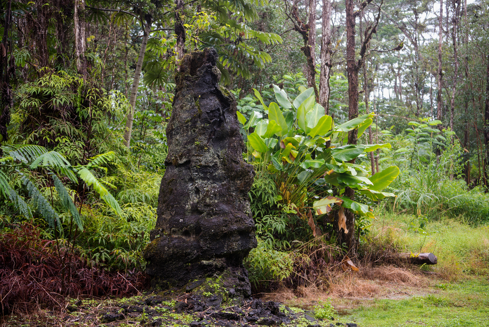 Consejos para visitar el Monumento al estado de Lava Tree - 7