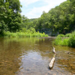 Mejores ríos para kayak en Missouri para toda la familia