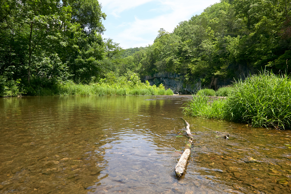 Mejores ríos para kayak en Missouri para toda la familia - 211