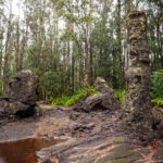 Consejos para visitar el Monumento al estado de Lava Tree