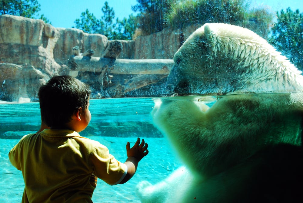 Mejores zoológicos en los Estados Unidos según nuestros lectores - 11