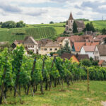 3 regiones en Francia perfectas para una gira de vinos en bicicleta