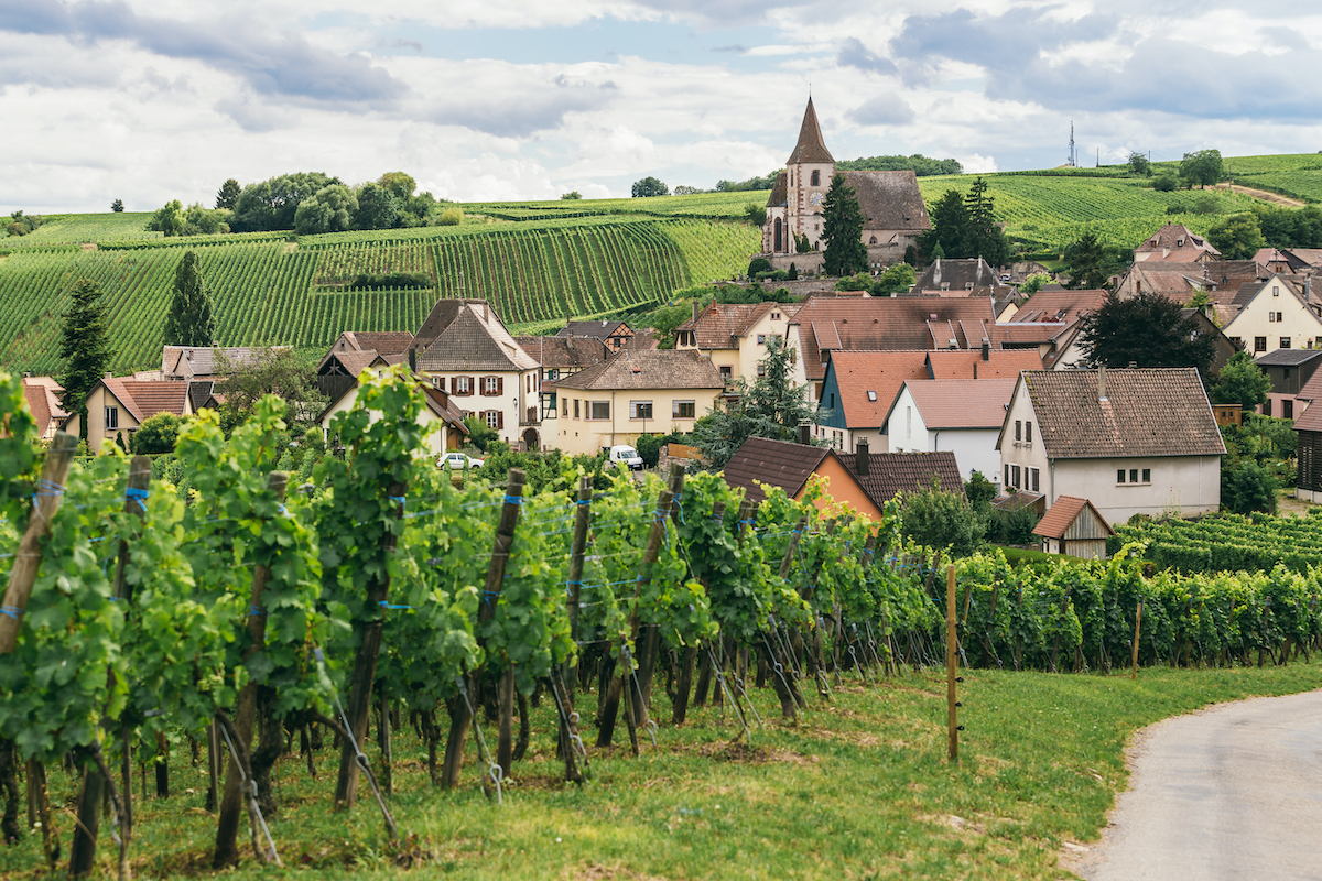 3 regiones en Francia perfectas para una gira de vinos en bicicleta - 3