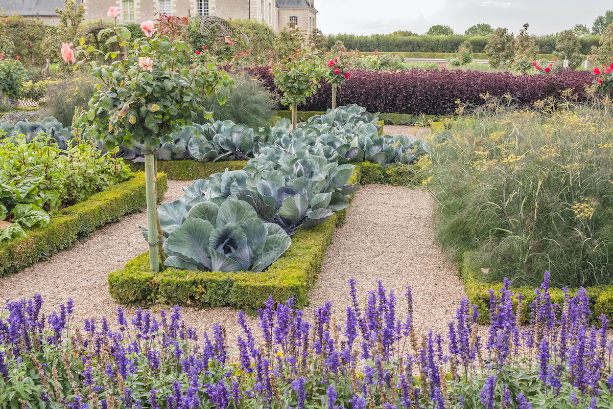 5 hermosos jardines para visitar en Francia - 21