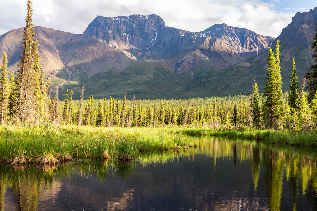 Los 5 parques nacionales que debes explorar cerca de Anchorage, AK - 9