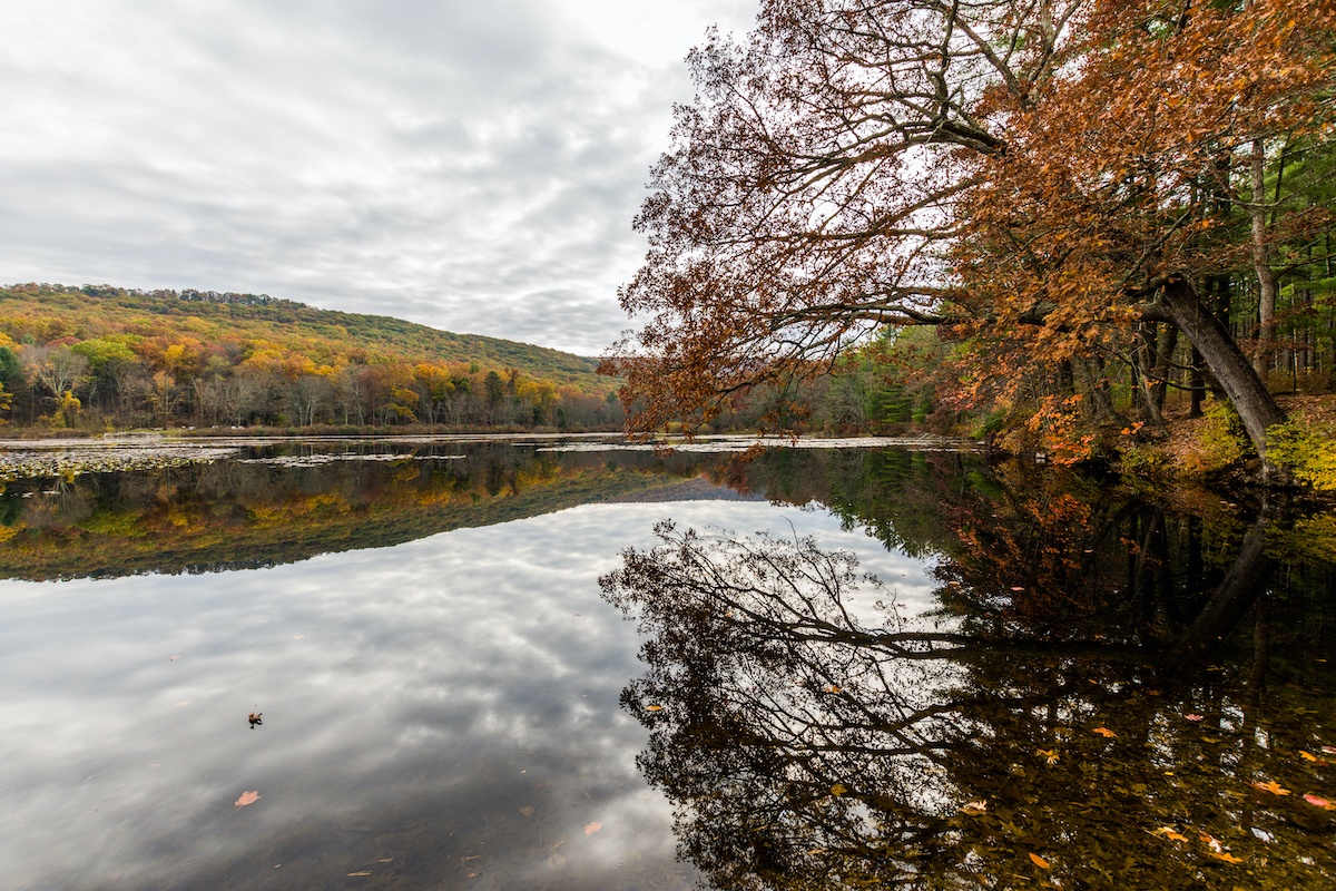 17 mejores parques estatales de Pensilvania cerca de los hermosos lagos - 17