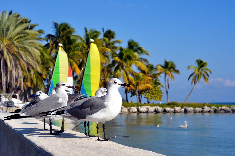 8 mejores playas en las llaves de Florida - 11