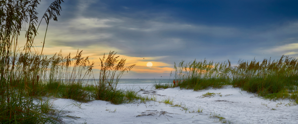 16 Ciudades de Florida Beach nuestros lectores aman (2021) - 19
