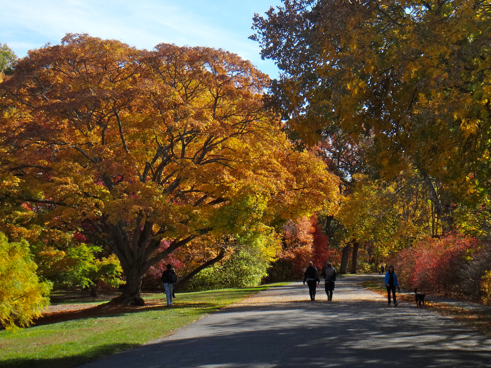 El mejor viaje por carretera de follaje de otoño en Massachusetts - 15