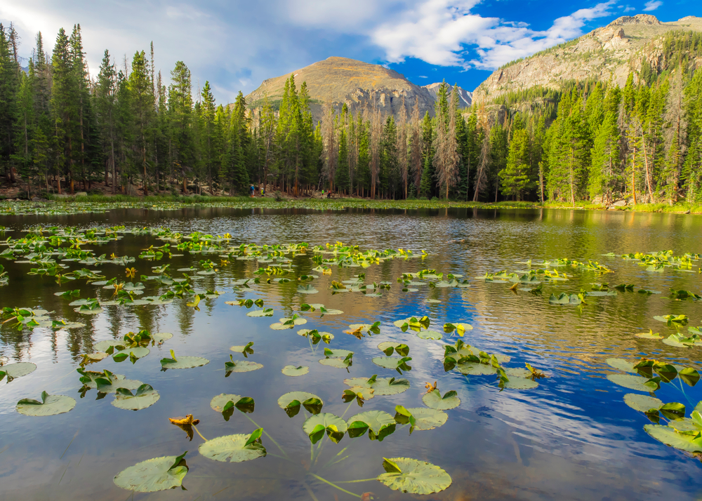 8 mejores caminatas cortas en el Parque Nacional Rocky Mountain - 11