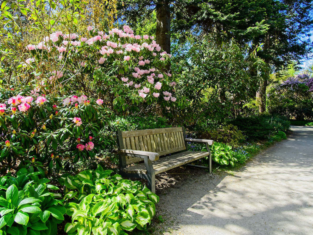 6 hermosos jardines para visitar cerca de Victoria - 9