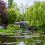 5 hermosos jardines para visitar en Francia