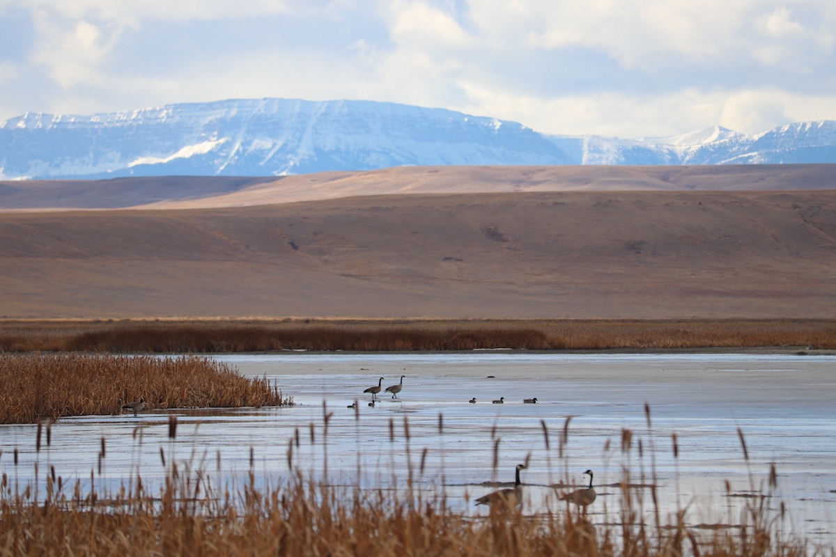5 paradas increíbles de Missoula al lago congelado, Montana - 9