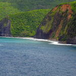 Nadando con manta rayos en Hawai: 8 cosas que saber