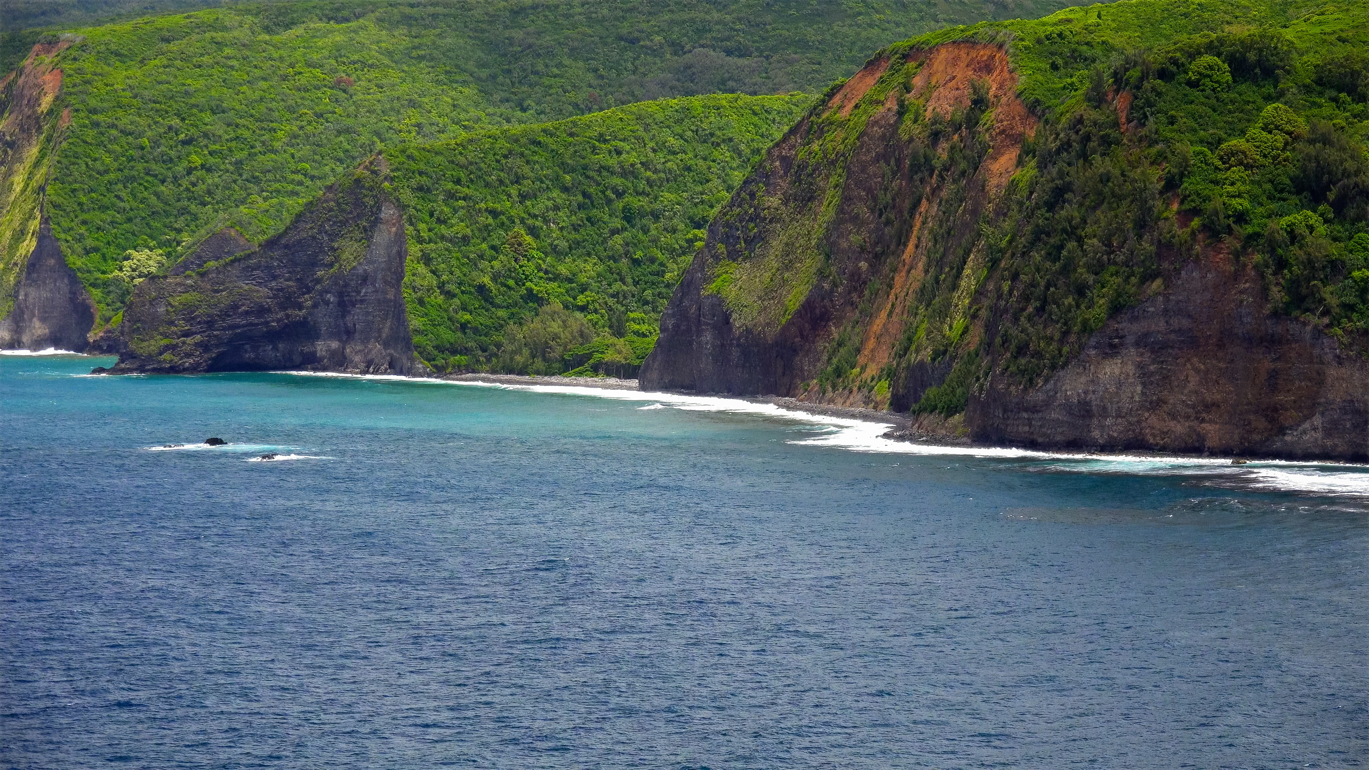 Nadando con manta rayos en Hawai: 8 cosas que saber - 3