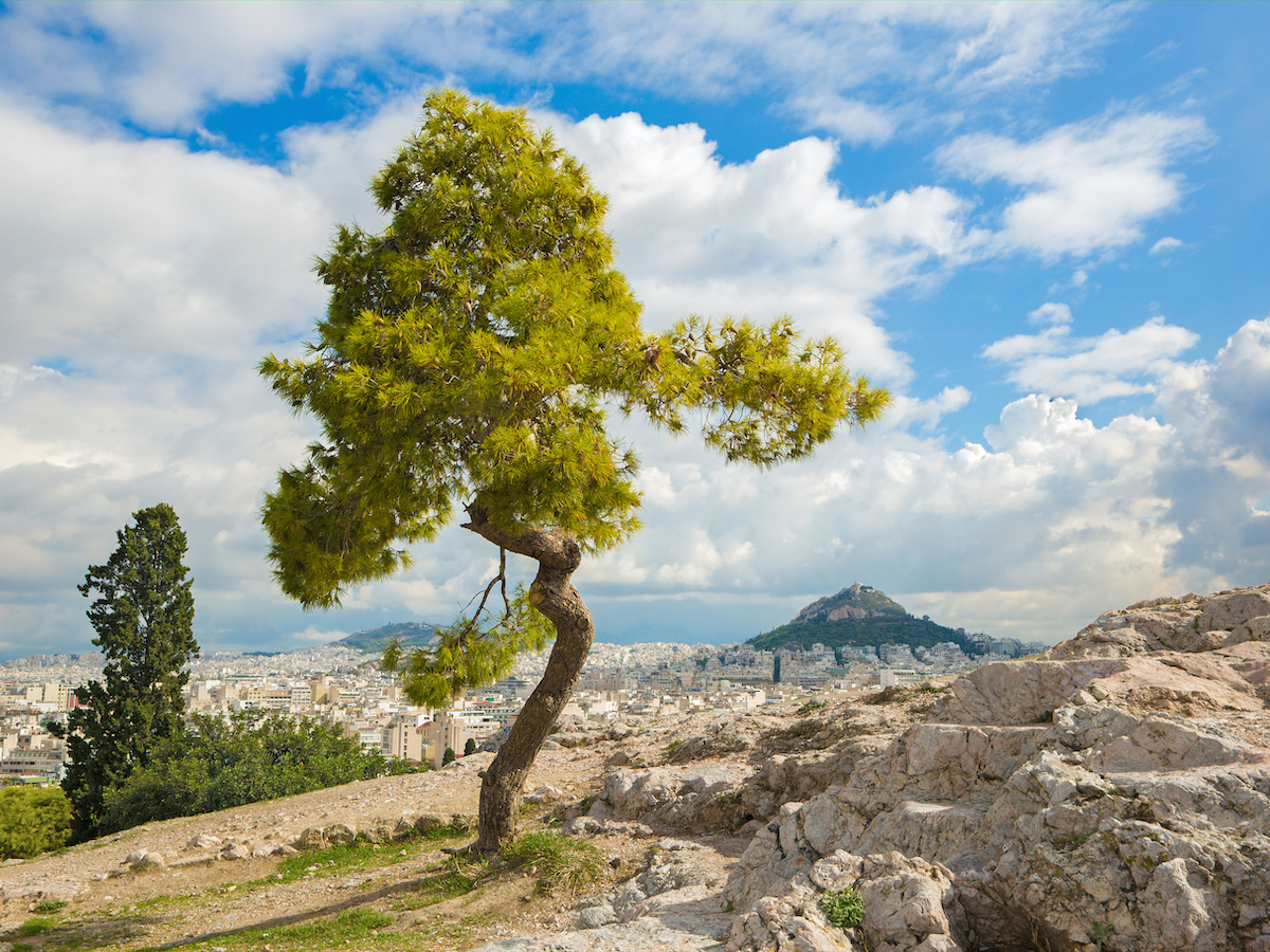 8 lugares increíbles en Atenas para ver la Acrópolis - 13