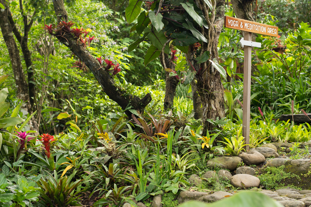 8 razones para visitar la gema oculta de Costa Rica - 9