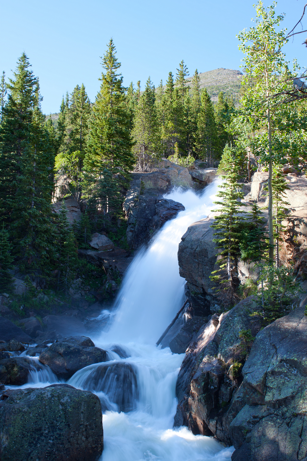 8 mejores caminatas cortas en el Parque Nacional Rocky Mountain - 15