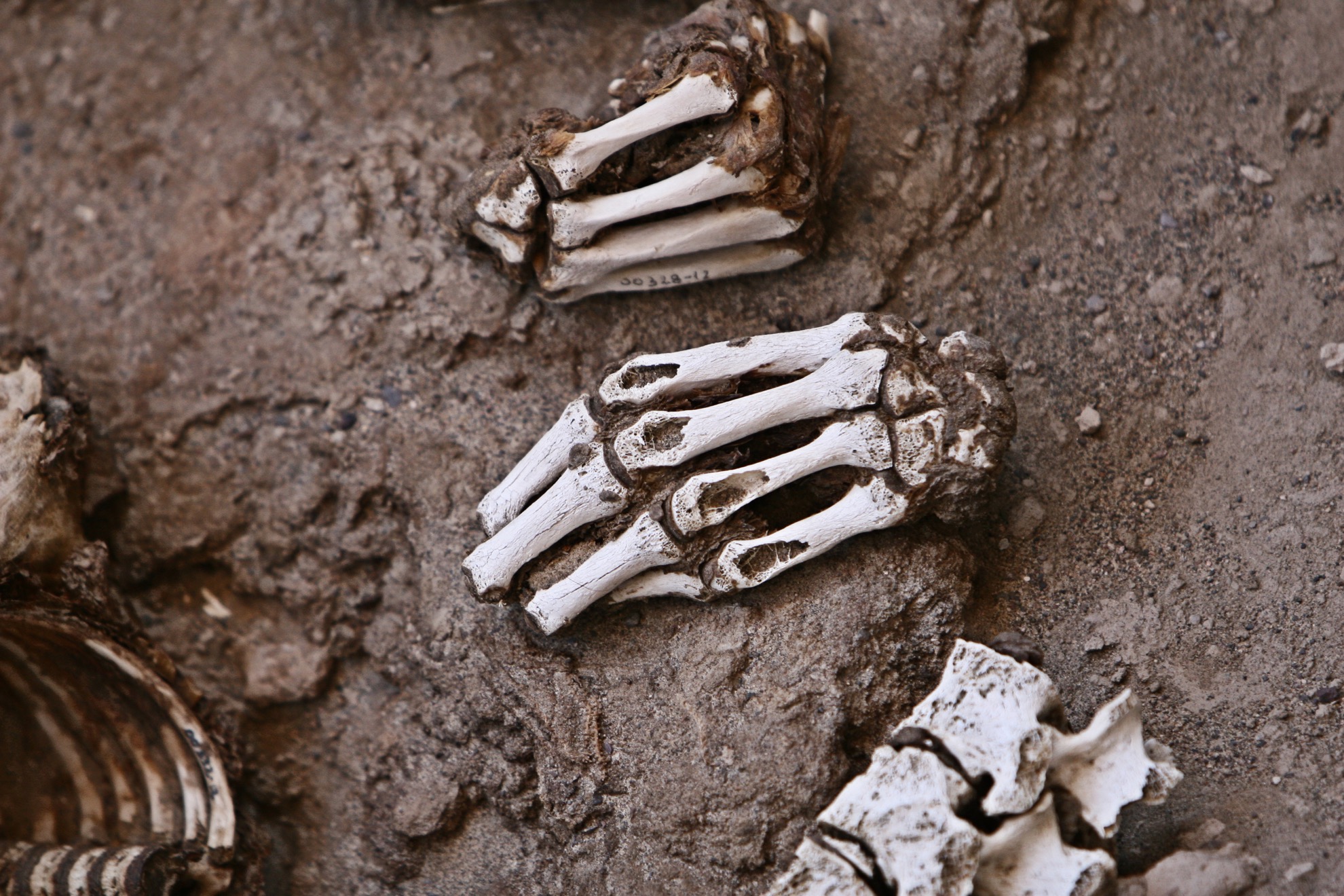 7 hechos sobre las momias de hielo de Perú - 193