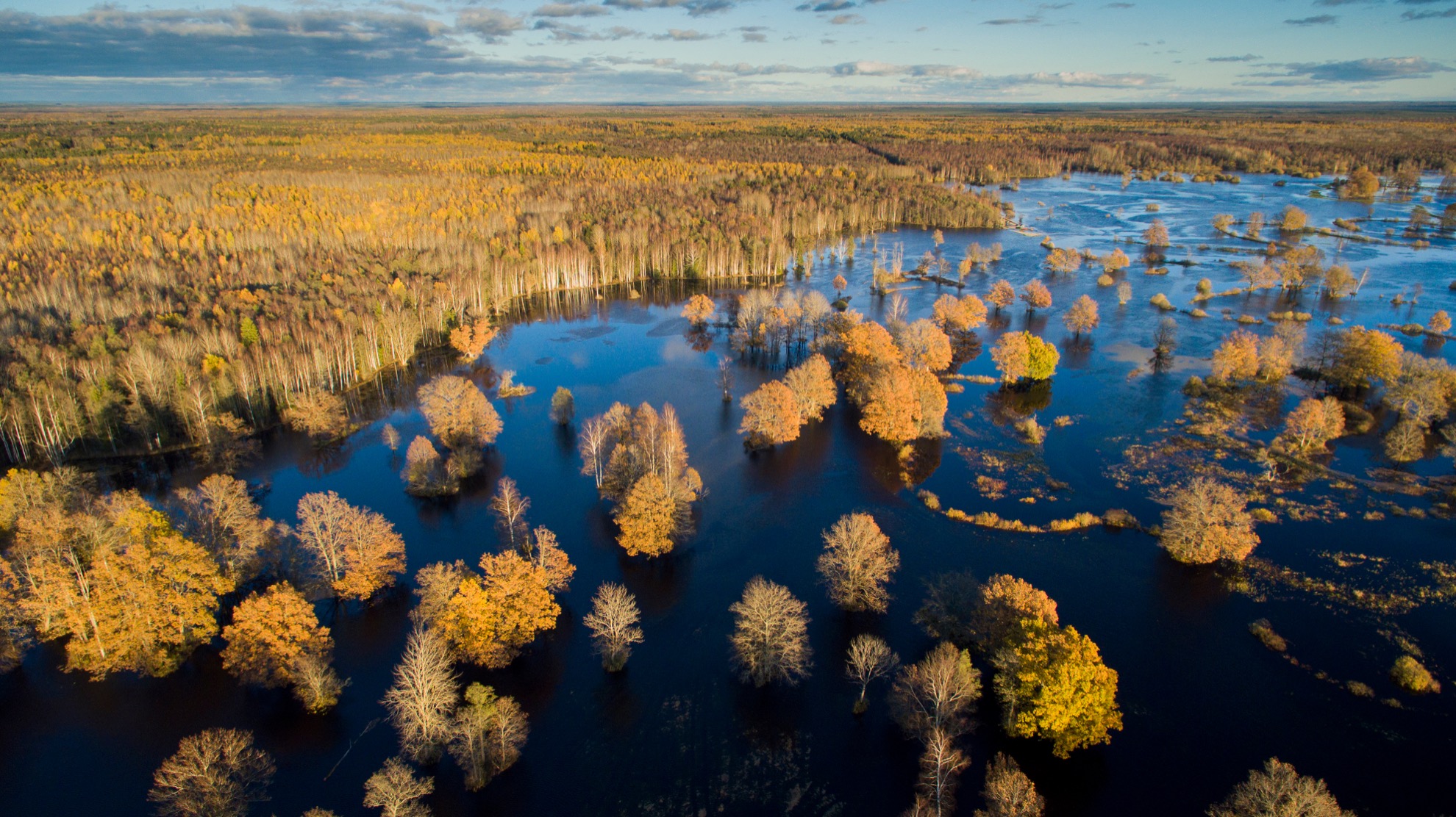 7 lugares increíblemente hermosos en Estonia - 11