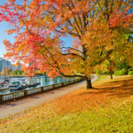 Los 5 mejores parques para experimentar en Vancouver, BC