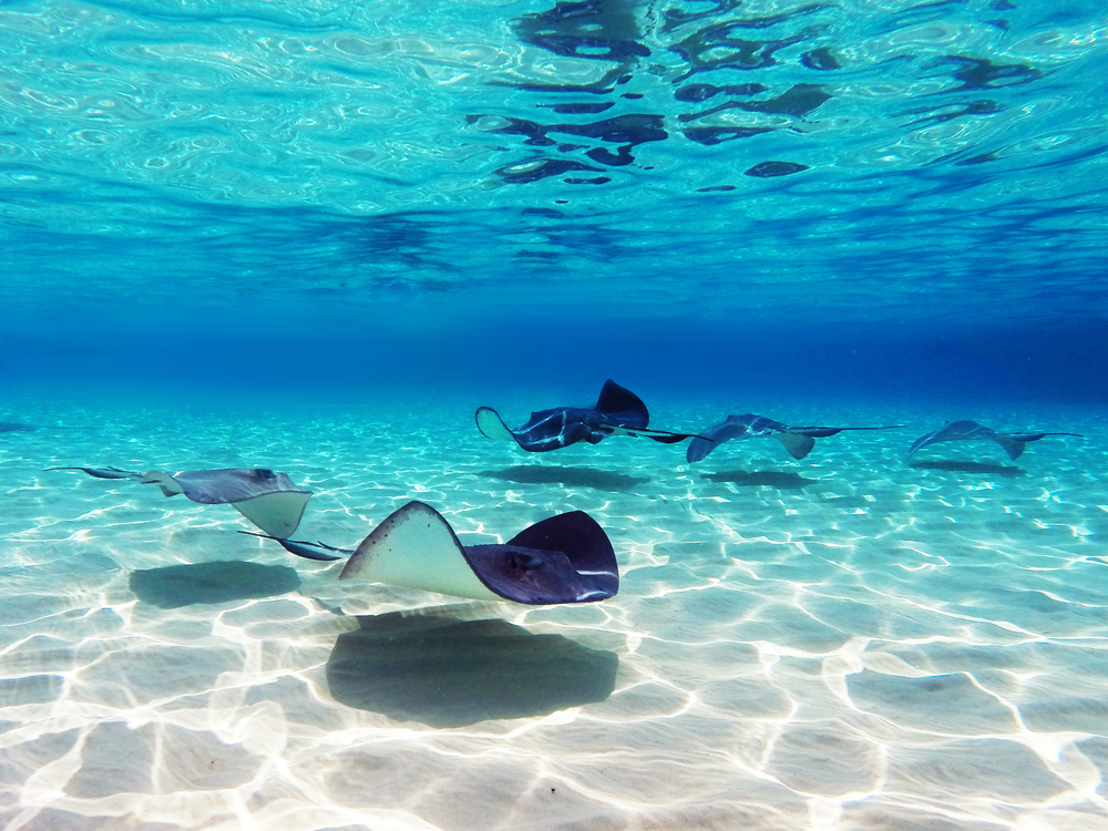 10 mejores lugares de snorkel en el mundo - 21