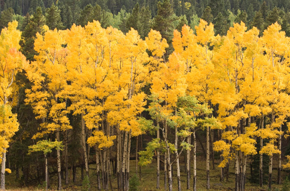 10 mejores destinos de follaje de otoño del mundo - 21