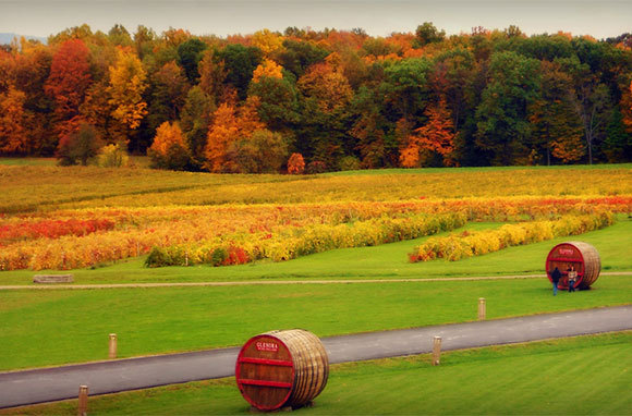 Los mejores destinos de vino de Estados Unidos para viajes de otoño - 9