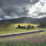El lujoso viaje en tren de Belmond Royal Scotsman