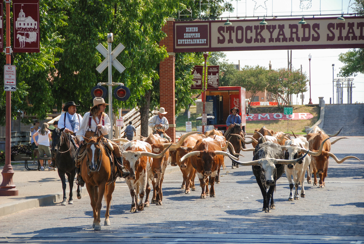 8 cosas divertidas para hacer en los Stockyards de Fort Worth - 511