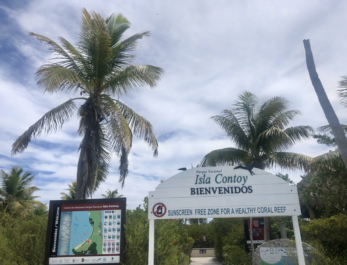 Más allá de Cozumel: otras 5 islas mexicanas que vale la pena visitar - 11