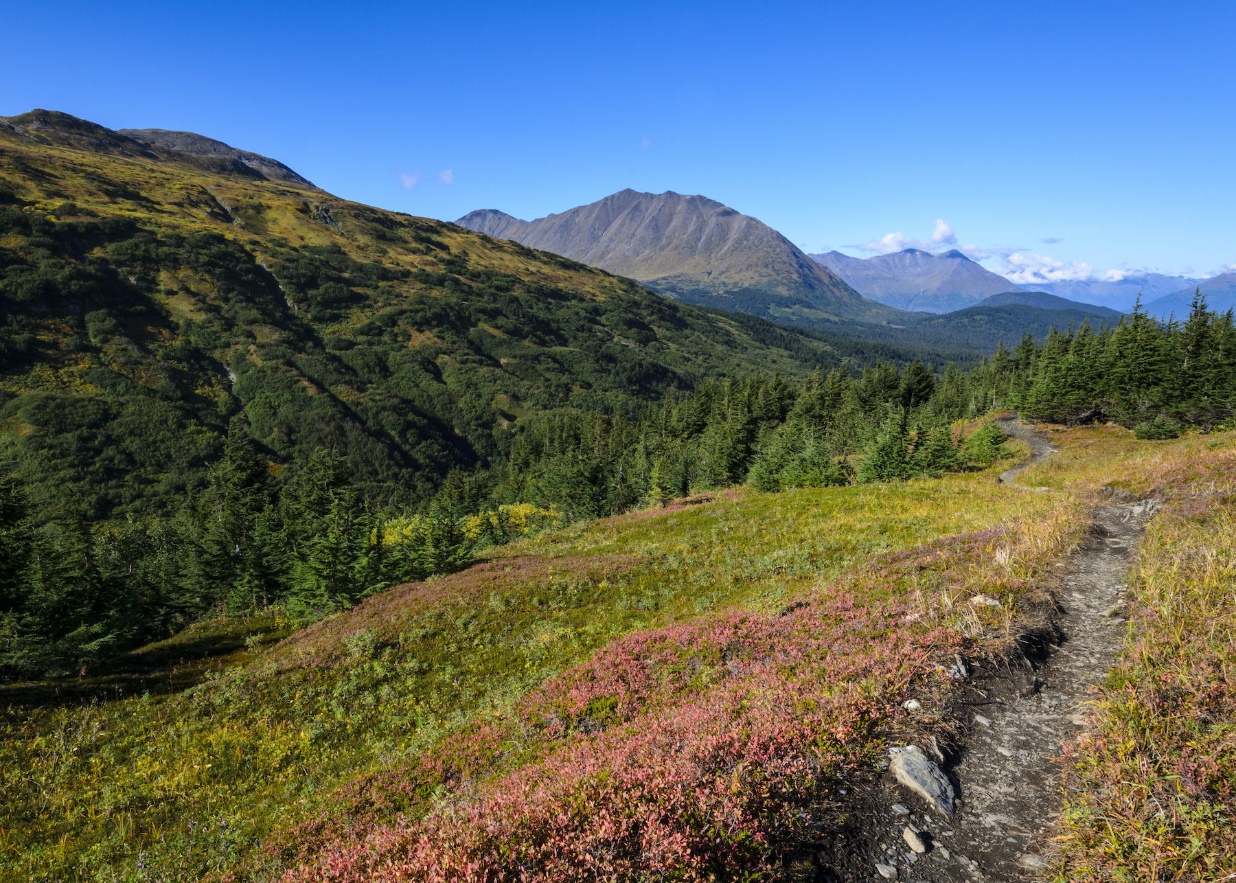 10 mejores caminatas en la impresionante Alaska - 15