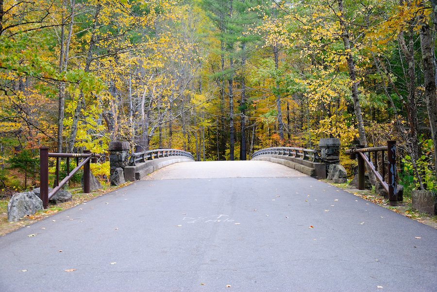 El mejor viaje por carretera de follaje de otoño en Massachusetts - 9