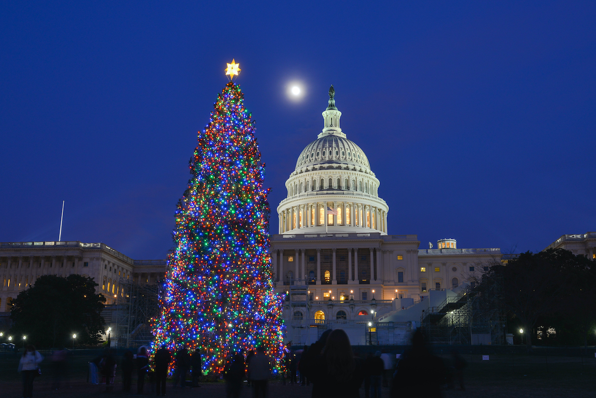 Las pantallas de luz navideñas virtuales más hermosas de los EE. UU. - 11