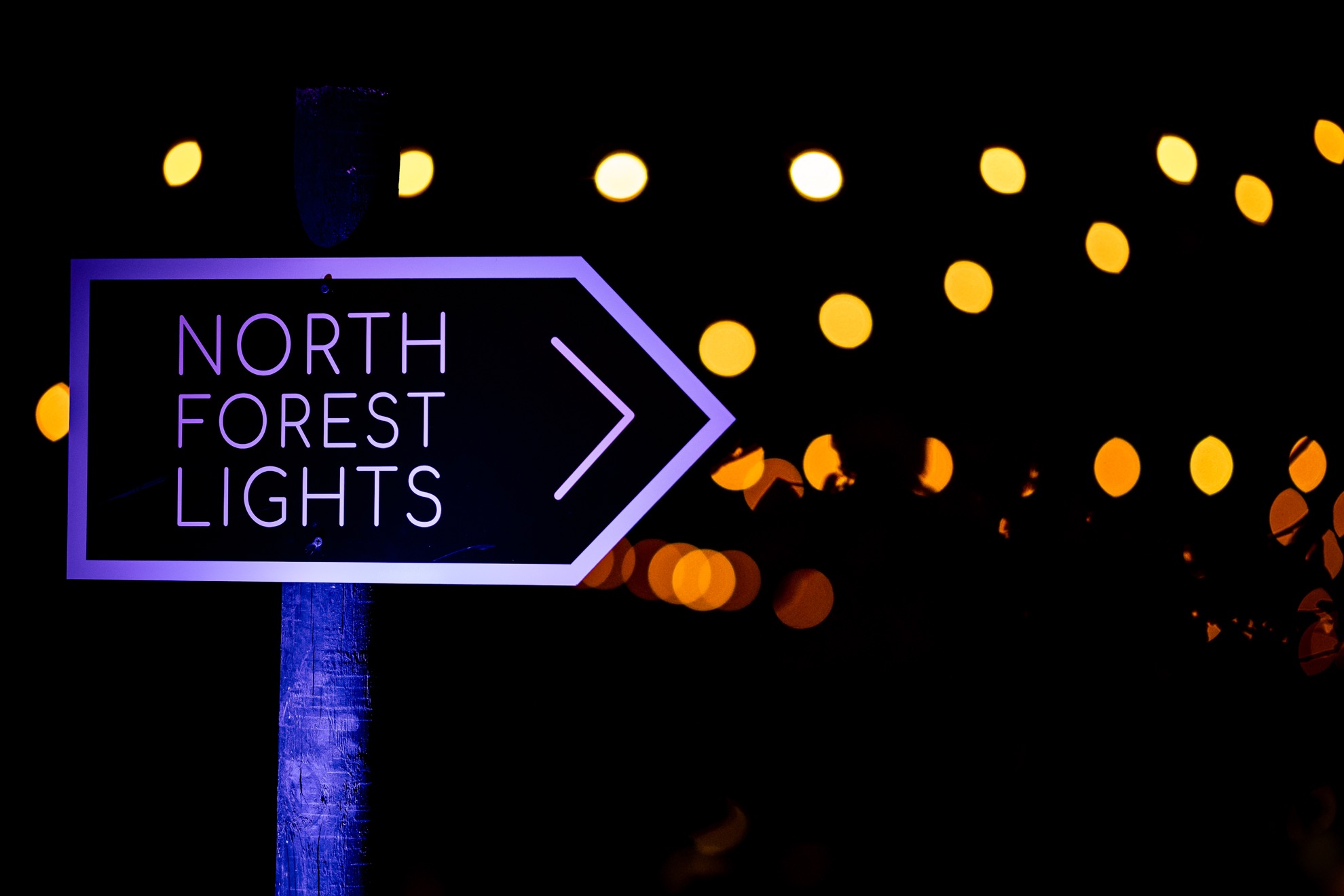 North Forest Lights en el Crystal Bridges Museum es un país de las maravillas invernal multisensorial - 13