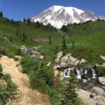 7 mejores caminatas en el Parque Nacional Mount Rainier