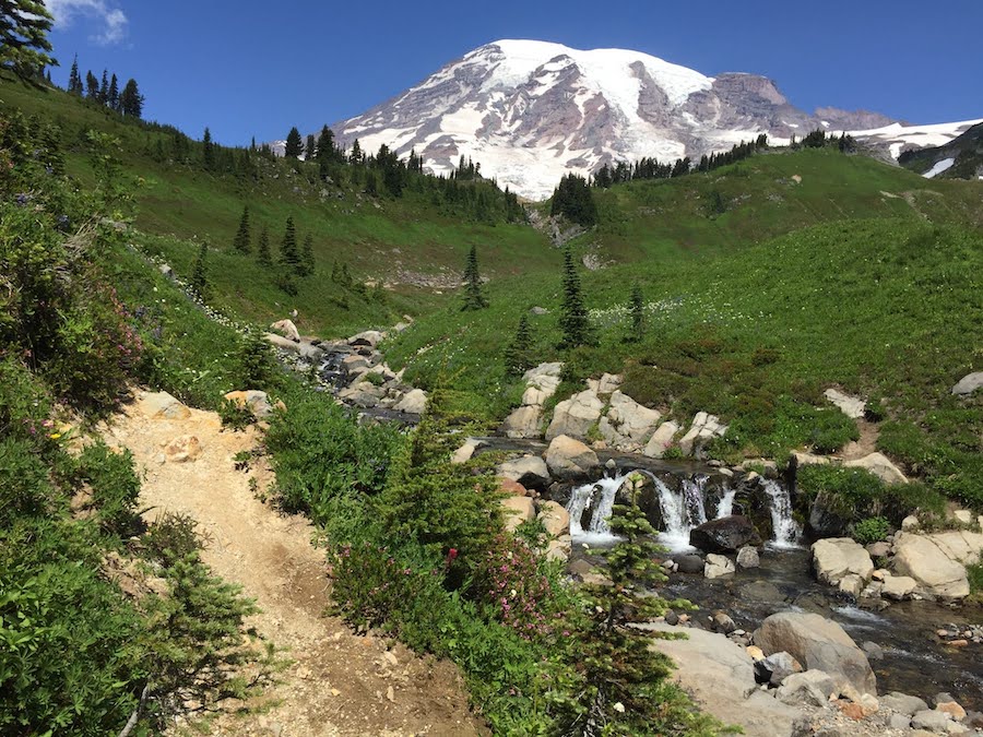 7 mejores caminatas en el Parque Nacional Mount Rainier - 17