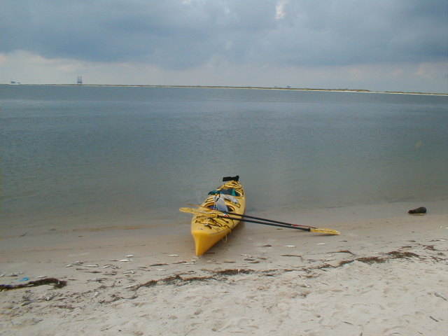 Cómo pasar un día perfecto para kayak con delfines y manatíes en la costa del Golfo de Alabama - 11